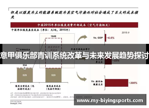 意甲俱乐部青训系统改革与未来发展趋势探讨