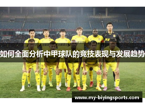 如何全面分析中甲球队的竞技表现与发展趋势